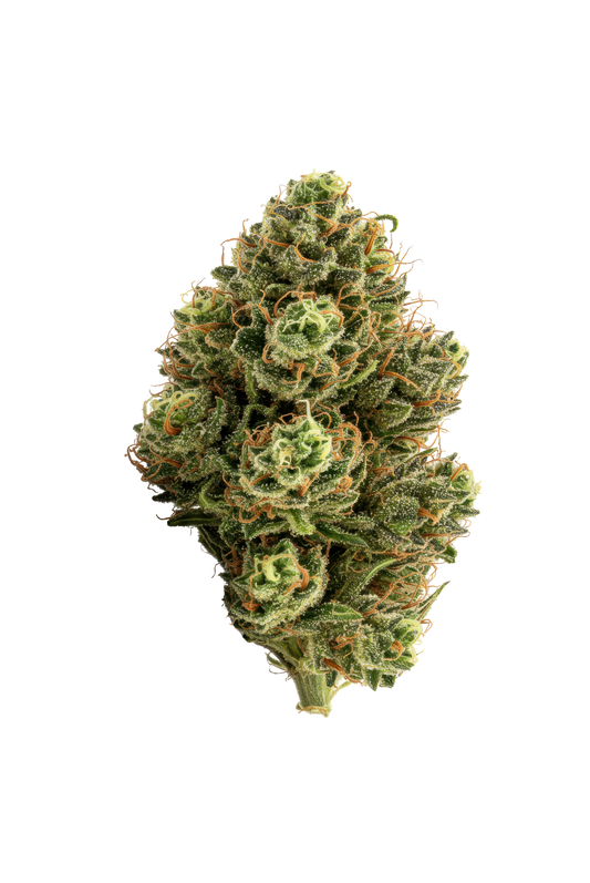 PREMIUM 3.5g