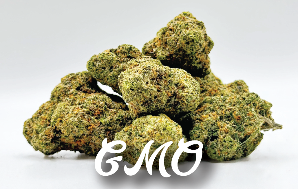 GMO