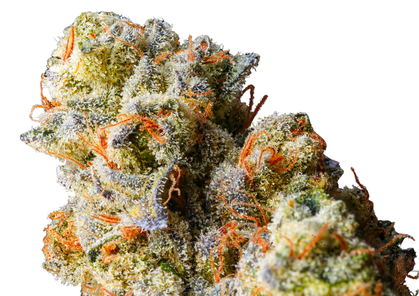 3.5g Top Shelf Exotics - 8 Count