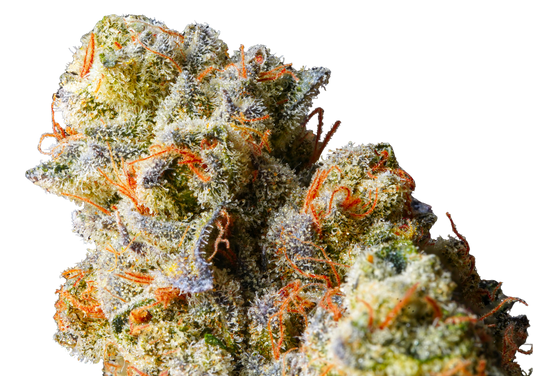 3.5g Top Shelf Exotics - 8 Count