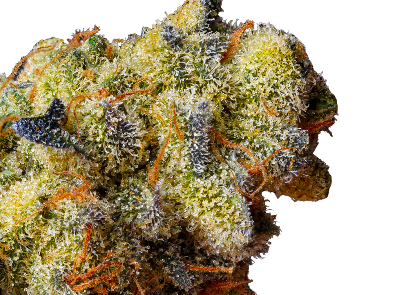 3.5g Premium - 8 Count